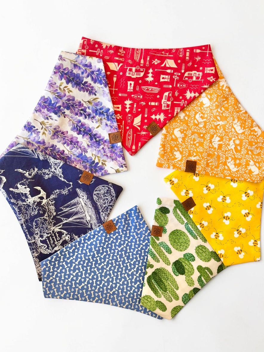 Colors of the Wind Collection