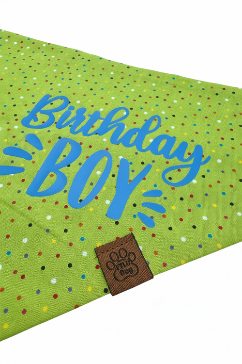 Birthday Boy - Over the Collar Bandana