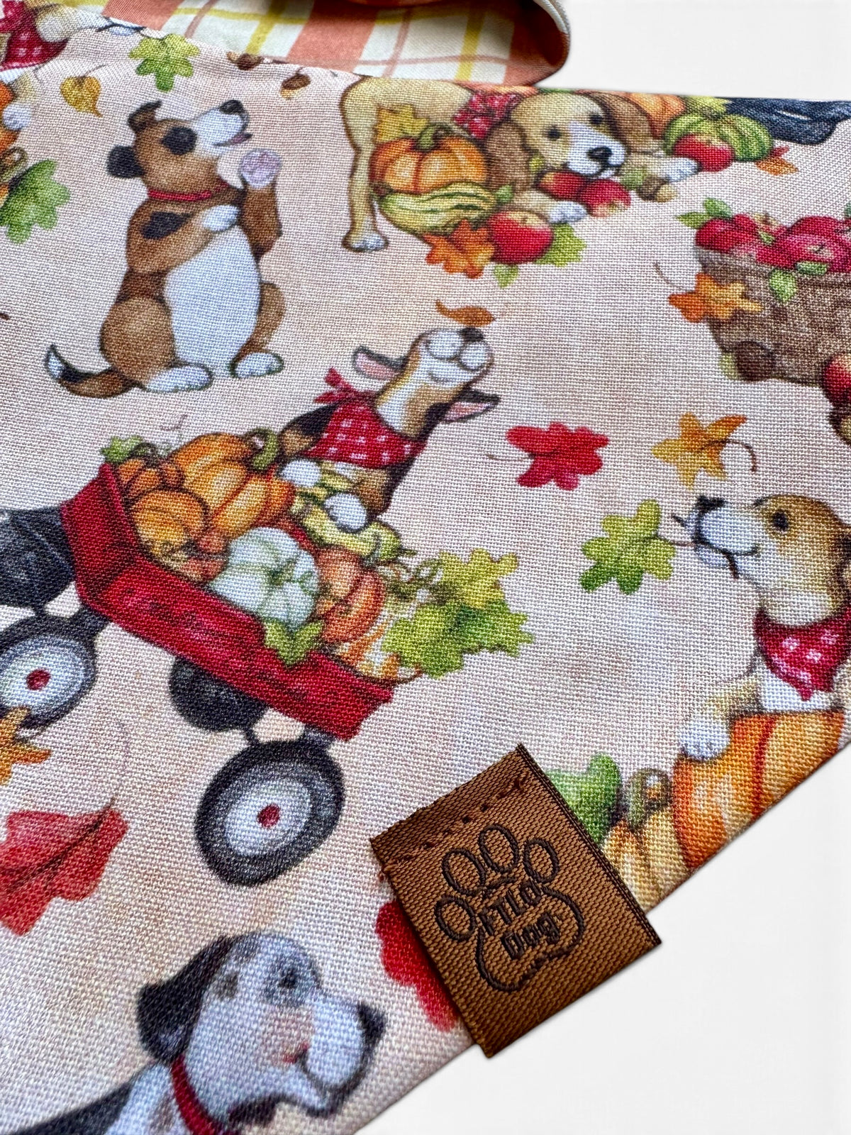 Patch Pawty - Scrunchie Contour Bandana