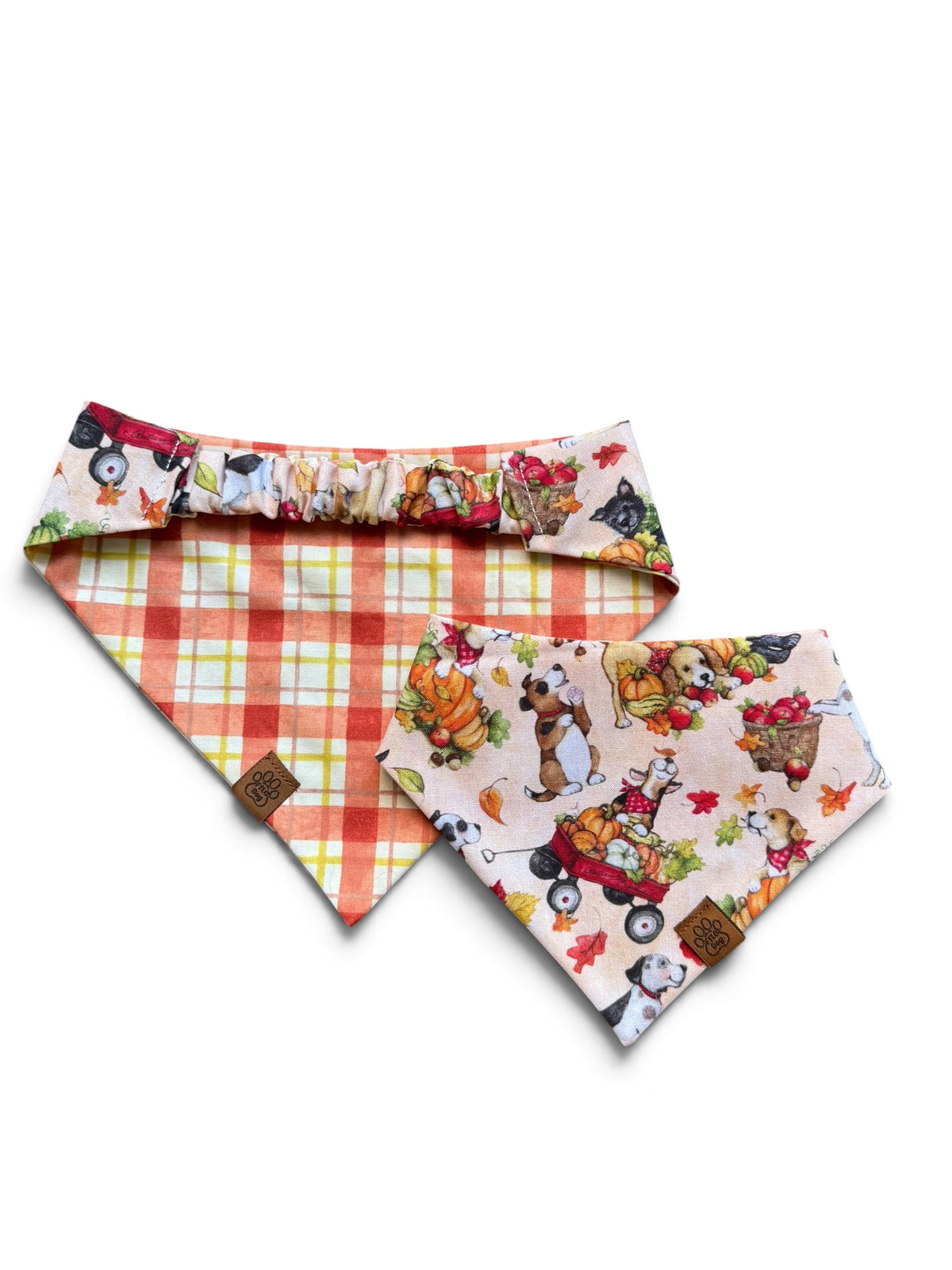 Patch Pawty - Scrunchie Contour Bandana