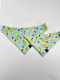 Pickleball Pack - Over the Collar Contour Bandana