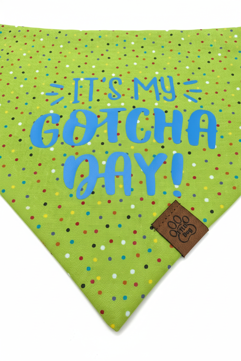 Gotcha Day Boy - Over the Collar Bandana