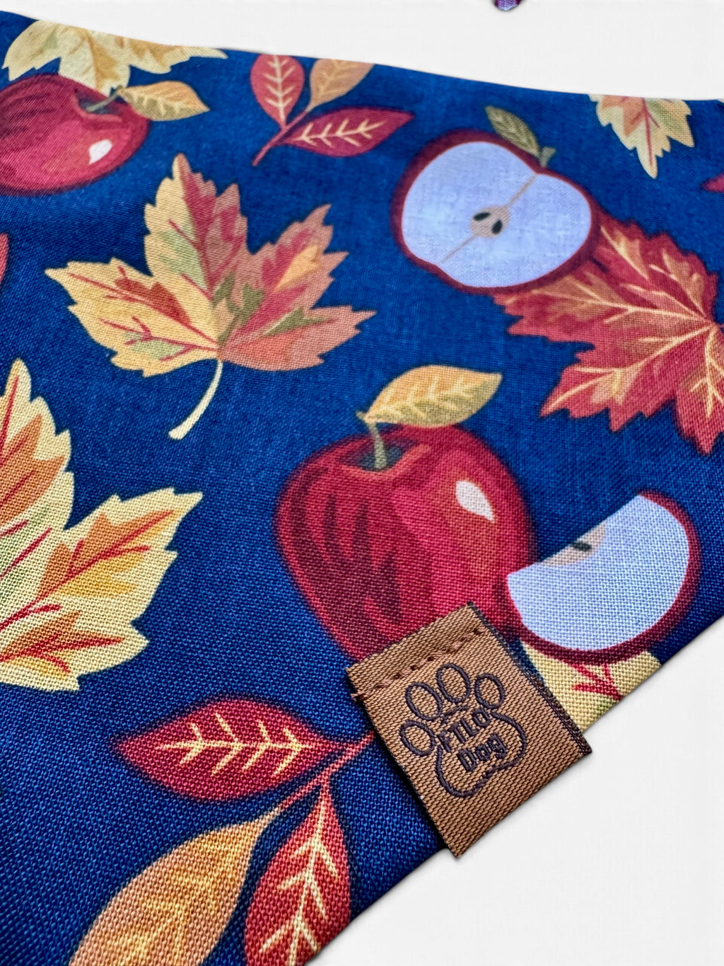 Cider Season - Over the Collar Bandana