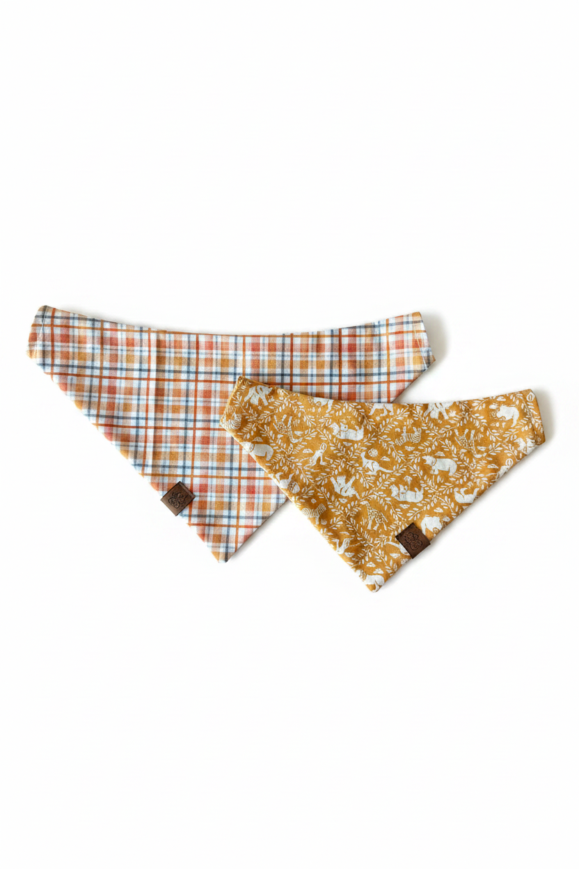 Clementine Circus - Over the Collar Contour Bandana