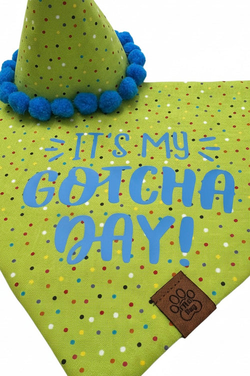 Gotcha Day Boy Set - Over the Collar Bandana & Party Hat