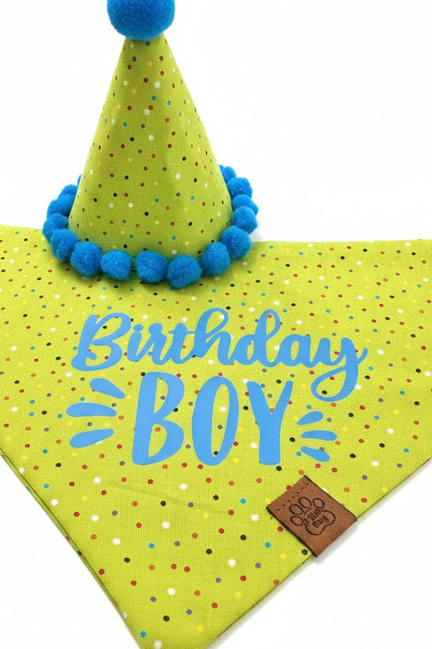 Birthday Boy Set - Over the Collar Bandana & Party Hat