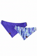 Dog Bandanas Bright White Background
