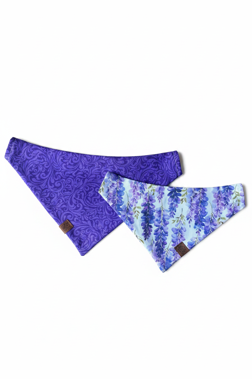 Dog Bandanas Bright White Background
